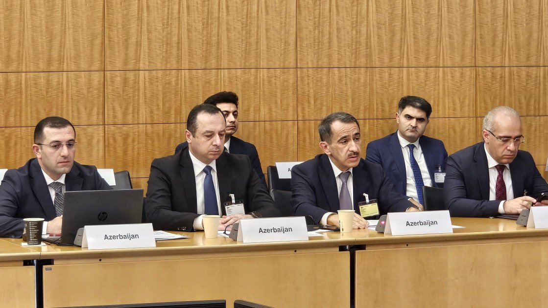 OECD-nin ekspertləri Azərbaycanda korrupsiyaya qarşı mübarizə tədbirlərini yüksək qiymətləndiriblər