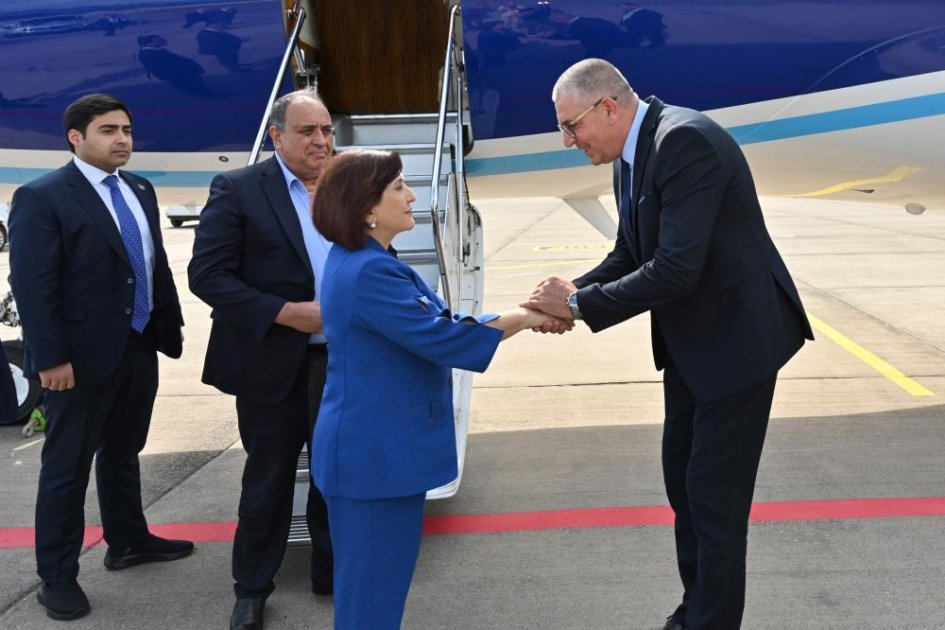 Milli Məclisin sədri Sahibə Qafarova Bosniya və Herseqovinaya işgüzar səfərə gəlib