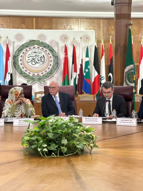 Azərbaycan Qahirədə beynəlxalq konfransda təmsil olunub