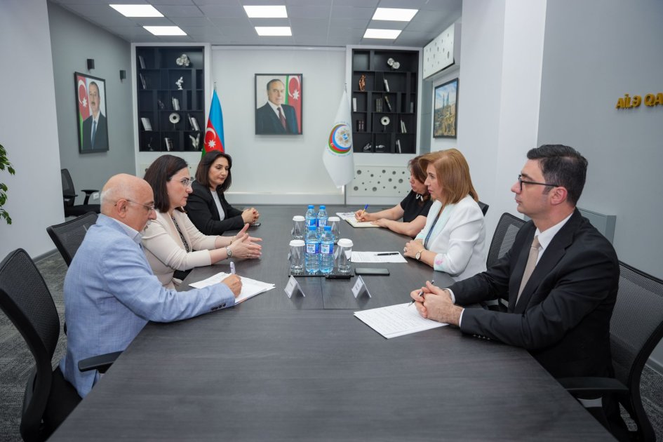Bahar Muradova: Uşaq məsələlərinə dair fəaliyyət planının hazırlanmasında beynəlxalq təcrübə mühüm əhəmiyyət daşıyır