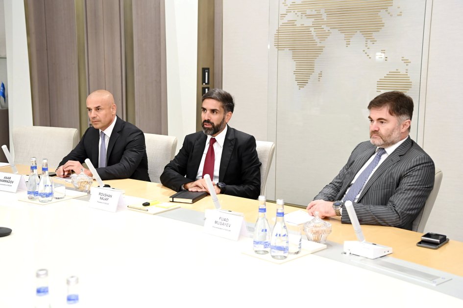 SOCAR-ın prezidenti "Emerson Electric Co." şirkətinin Avropa regionu üzrə prezidenti ilə görüşüb