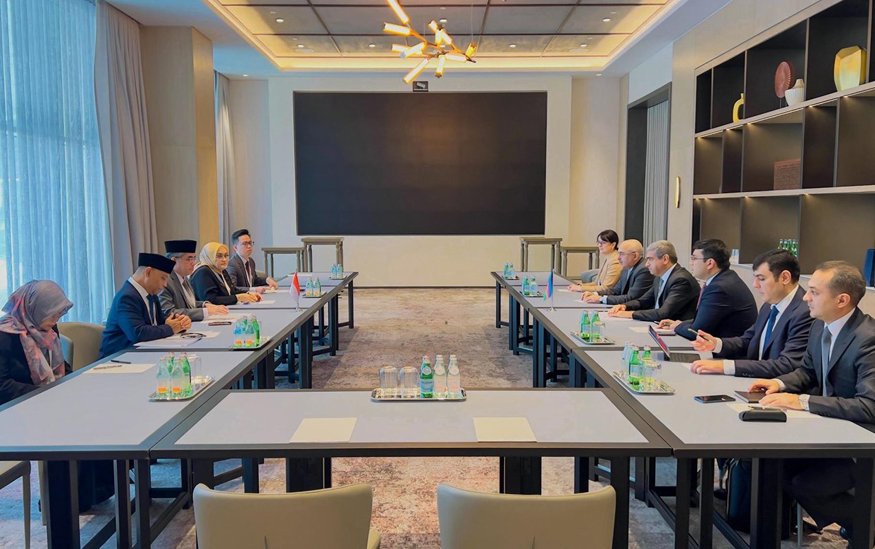 İndoneziya və Qətərlə əməkdaşlıq məsələləri müzakirə olundu - Fotolar