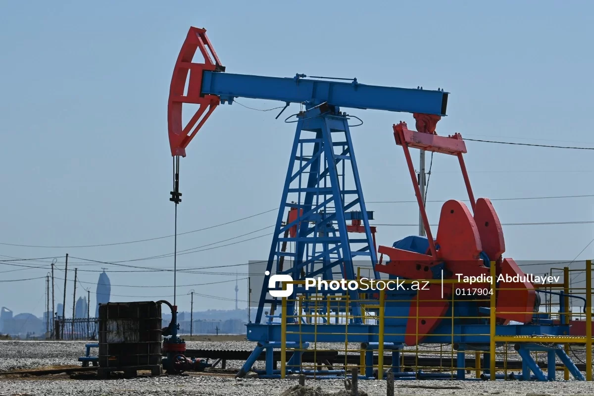 Azərbaycanda neft-qaz sektorunda 31,2 min nəfər çalışır