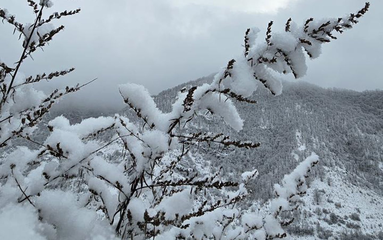 Qar yağacaq, külək güclənəcək - Sabahın havası